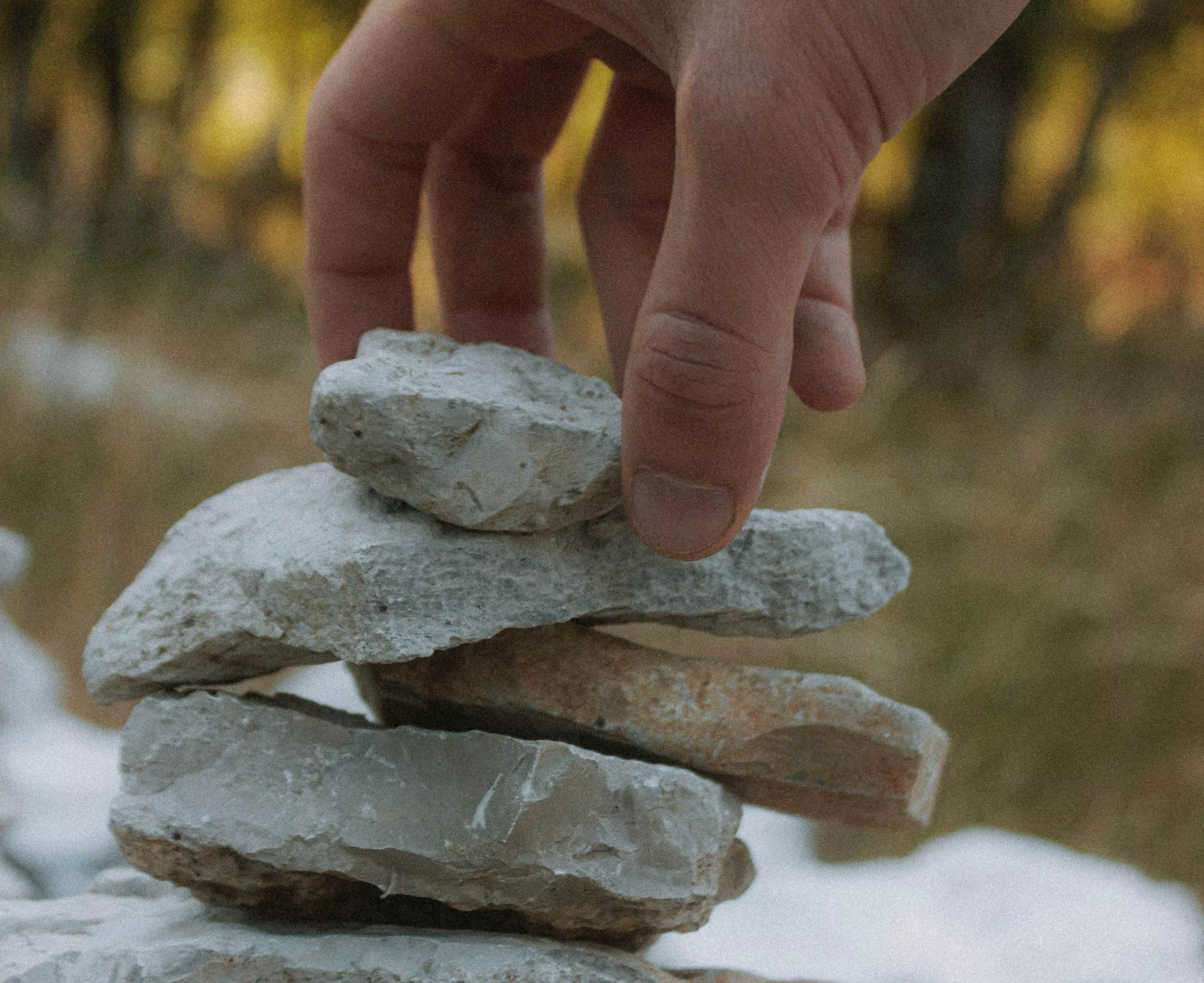 Software Development