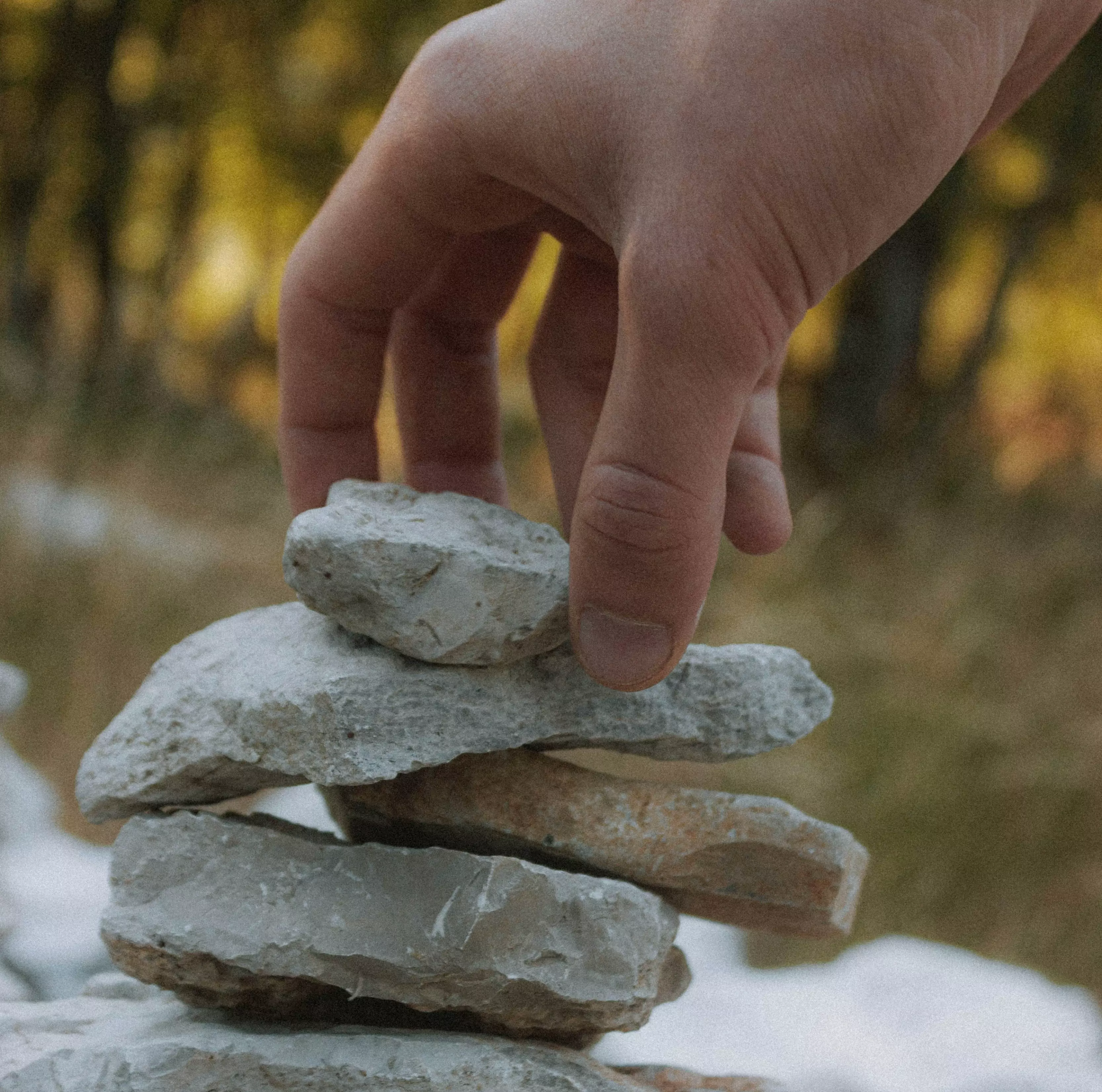 Software Development